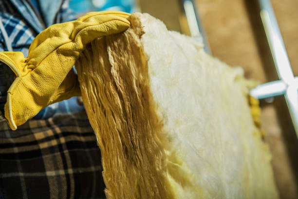 Best Insulation Replacement Services  in Weston, MO