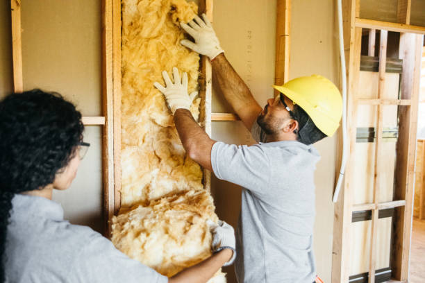 Best Blown-in Insulation  in Weston, MO