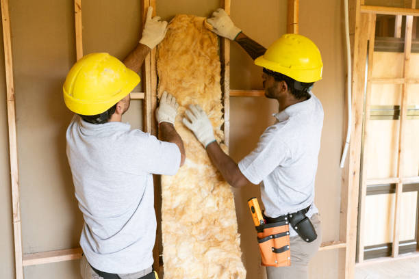 Best Garage Insulation Installation  in Weston, MO