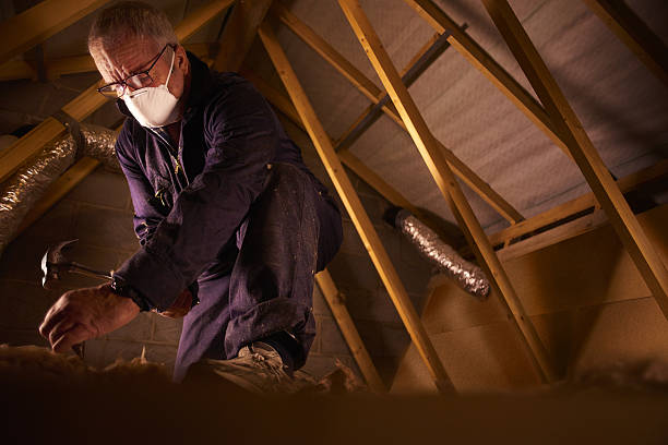 Best Insulation Removal  in Weston, MO