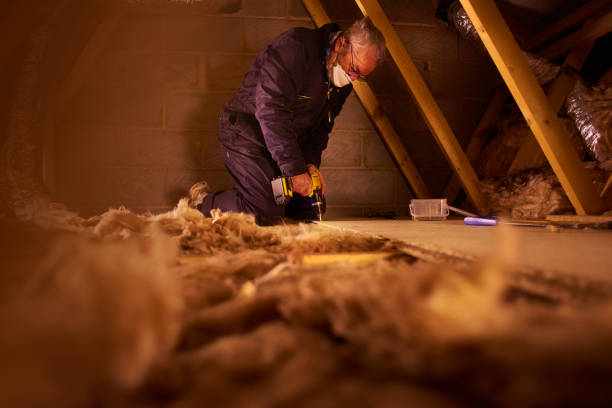Best Cellulose Insulation  in Weston, MO
