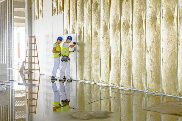 Best Attic Insulation Installation  in Weston, MO